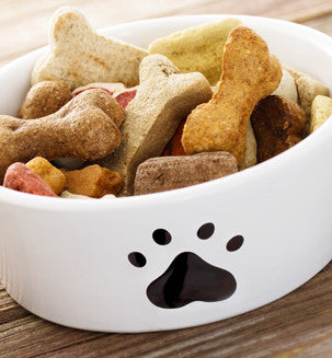 Our store is offering a great assortment of different goods and services for pets