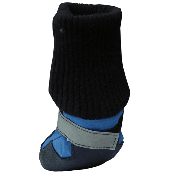 HDP Dog Boots Blue Set of 4 Medium