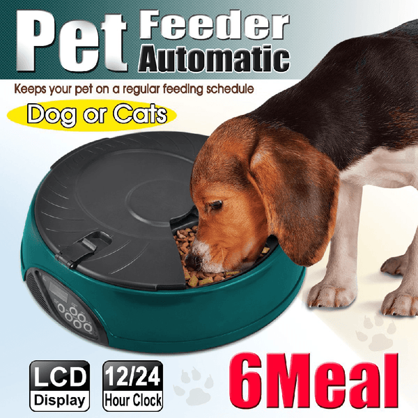 Popamazing 6 Days Cat + Dog + Rabbit Meal Automatic Pet Feeder Auto Dispenser (Yellow)